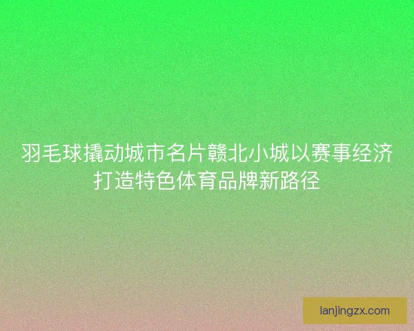 羽毛球撬动城市名片赣北小城以赛事经济打造特色体育品牌新路径